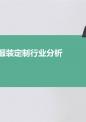公司服装定制行业分析.pptx