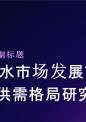 软坚水市场发展前景分析及供需格局研究预测报告.pptx