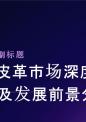 天然皮革市场深度全景调研及发展前景分析报告.pptx