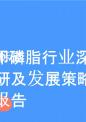 大豆卵磷脂行业深度调研及发展策略研究报告.pptx
