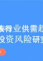 补充香水液行业供需趋势及投资风险研究报告.pptx