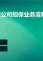 融资担保公司担保业务流程.ppt