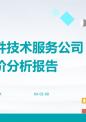 设立软件技术服务公司评价分析报告.pptx