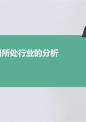 公司所处行业的分析.pptx