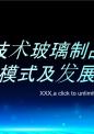 技术玻璃制品行业运行模式及发展前景预测报告.pptx