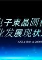 电子束晶圆检查系统行业发展现状及潜力分析研究报告.pptx